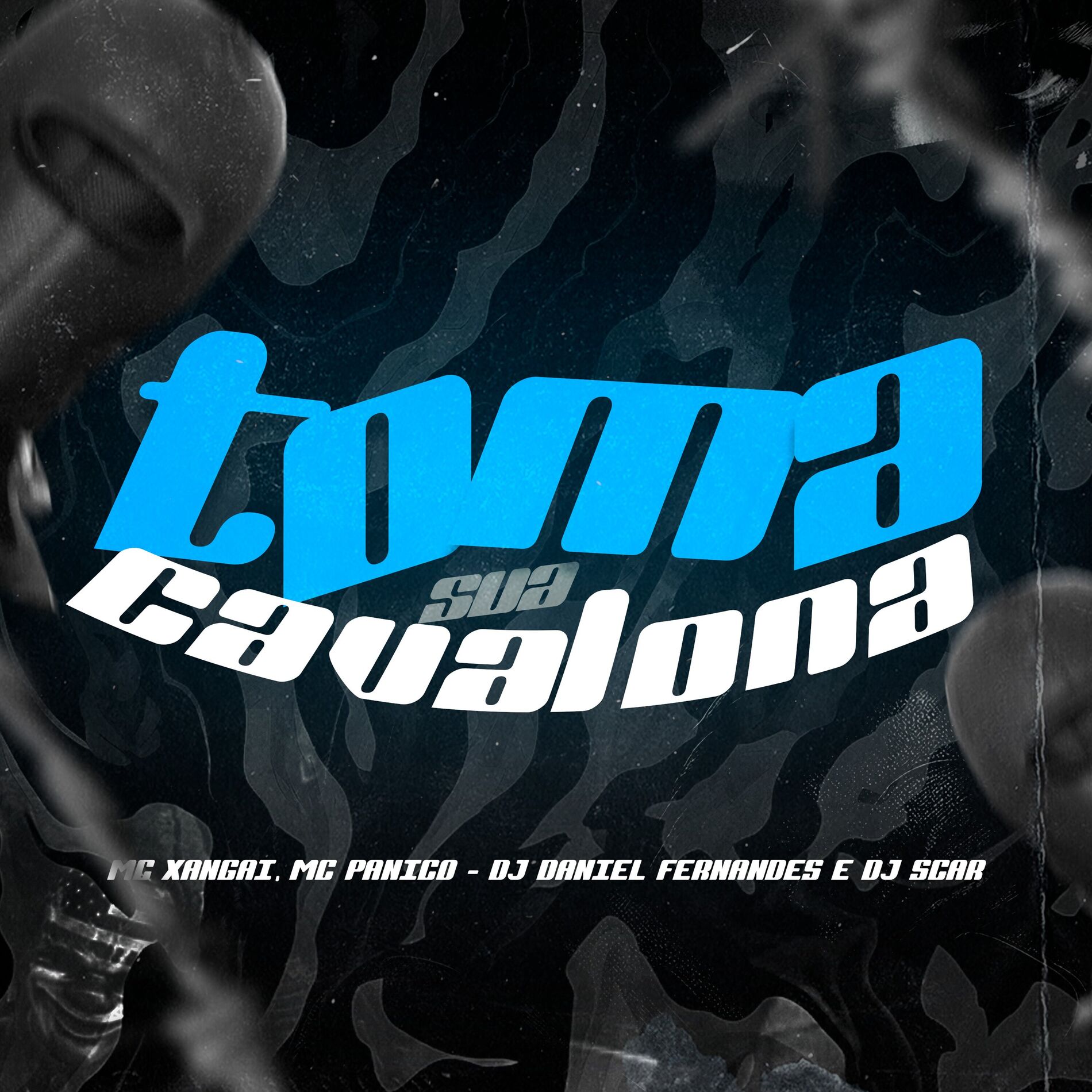 Album cover of Toma Sua Cavalona