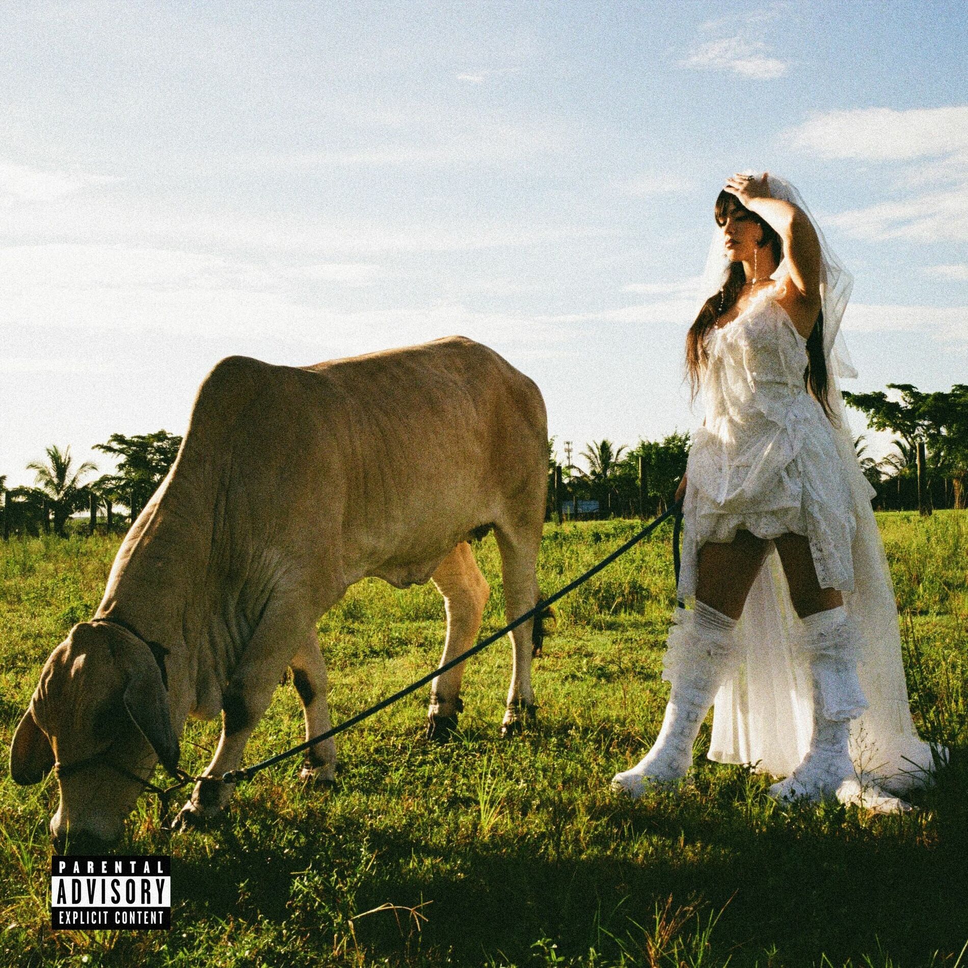 Album cover of Tu Me Das