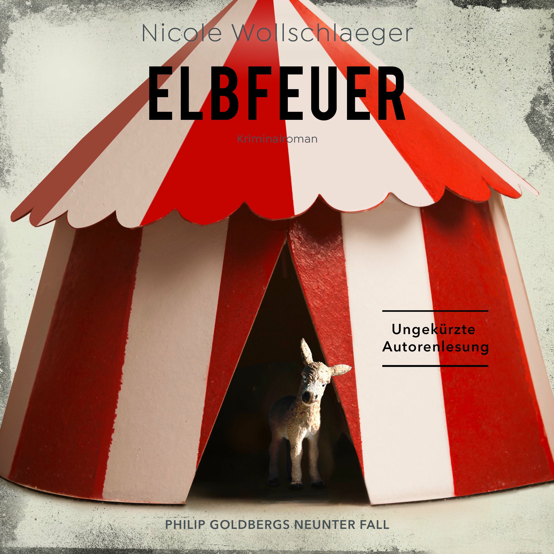 Album cover of ELBFEUER