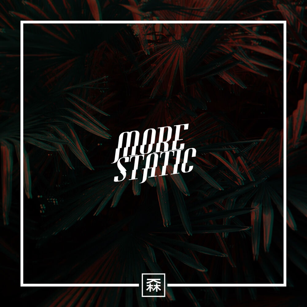 Picture of More Static