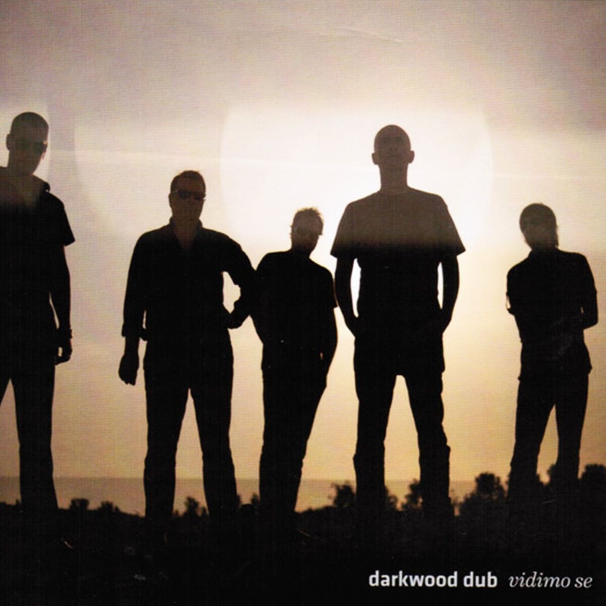 Album cover of Vidimo se