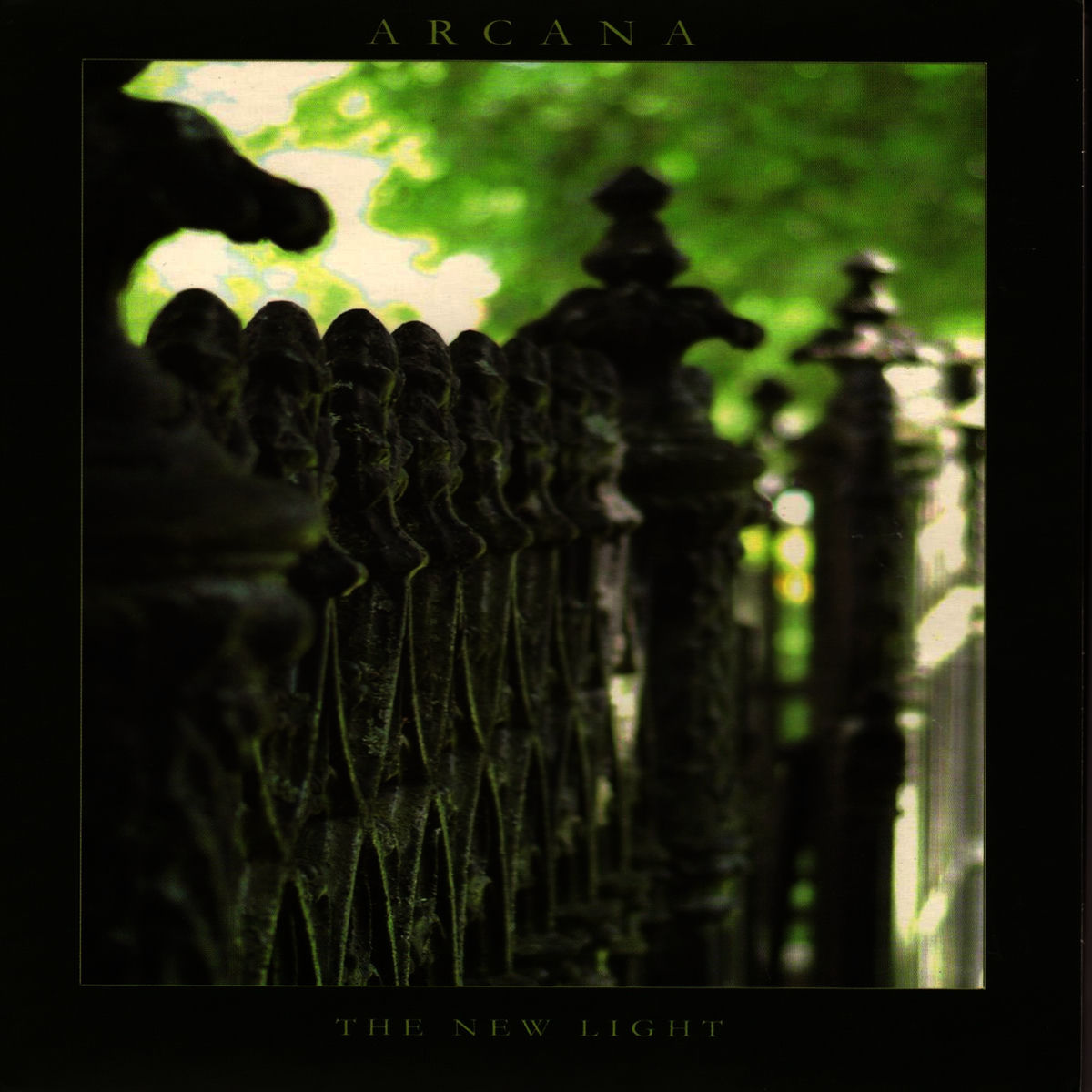 Album cover of The New Light