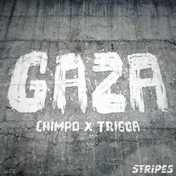 Cover of Gaza