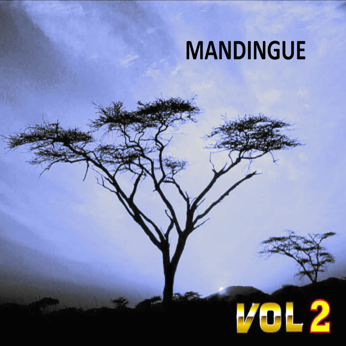Album cover of Mandingue , Vol. 2