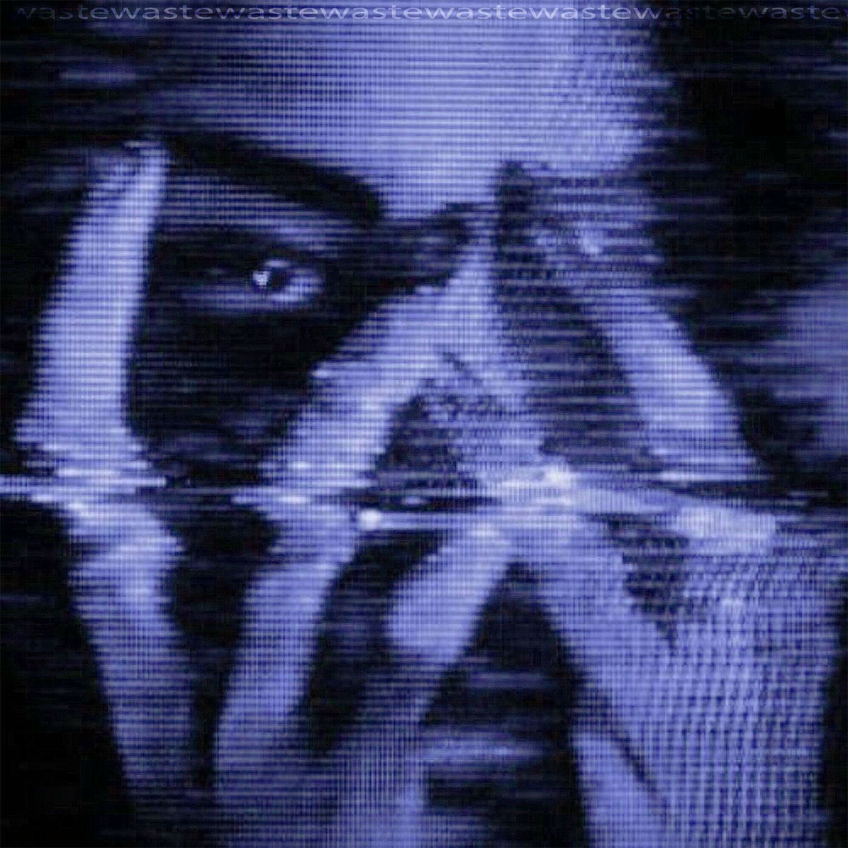 Album cover of waste