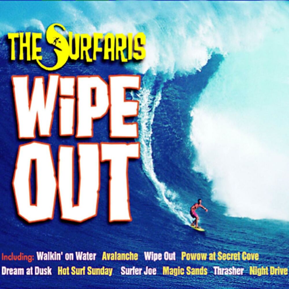 Picture of Wipe Out