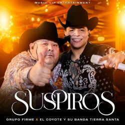 Cover of Suspiros (En Vivo)