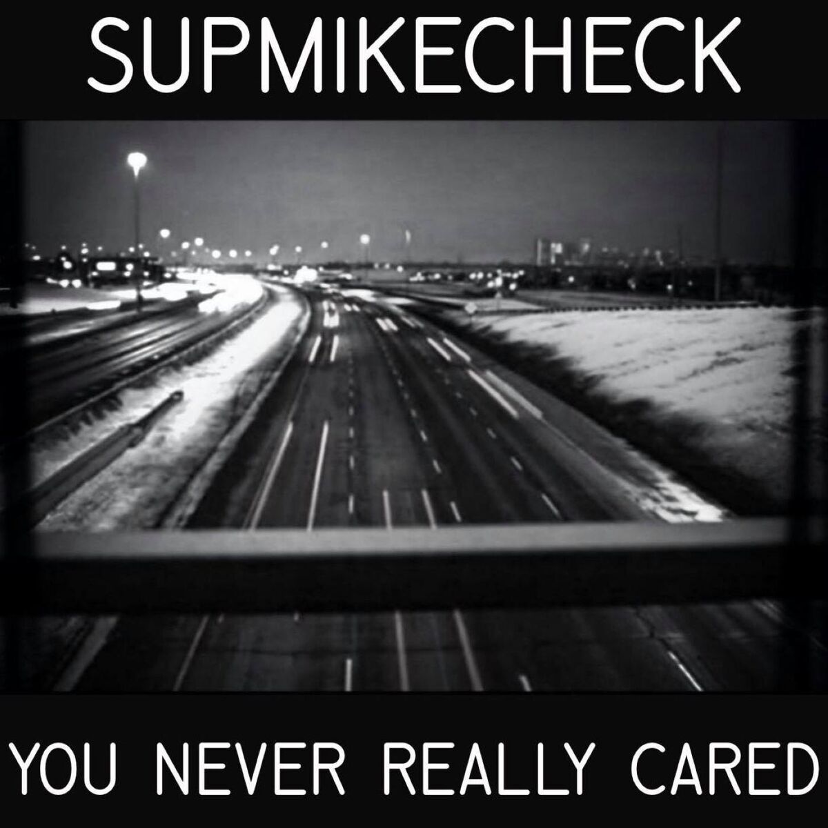 Album cover of You Never Really Cared
