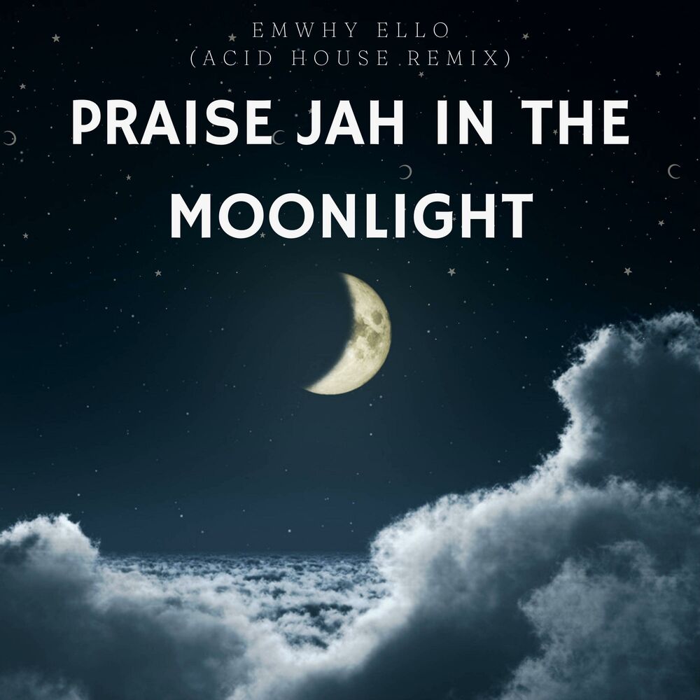 Picture of Praise Jah In The Moonlight (Acid House Version)