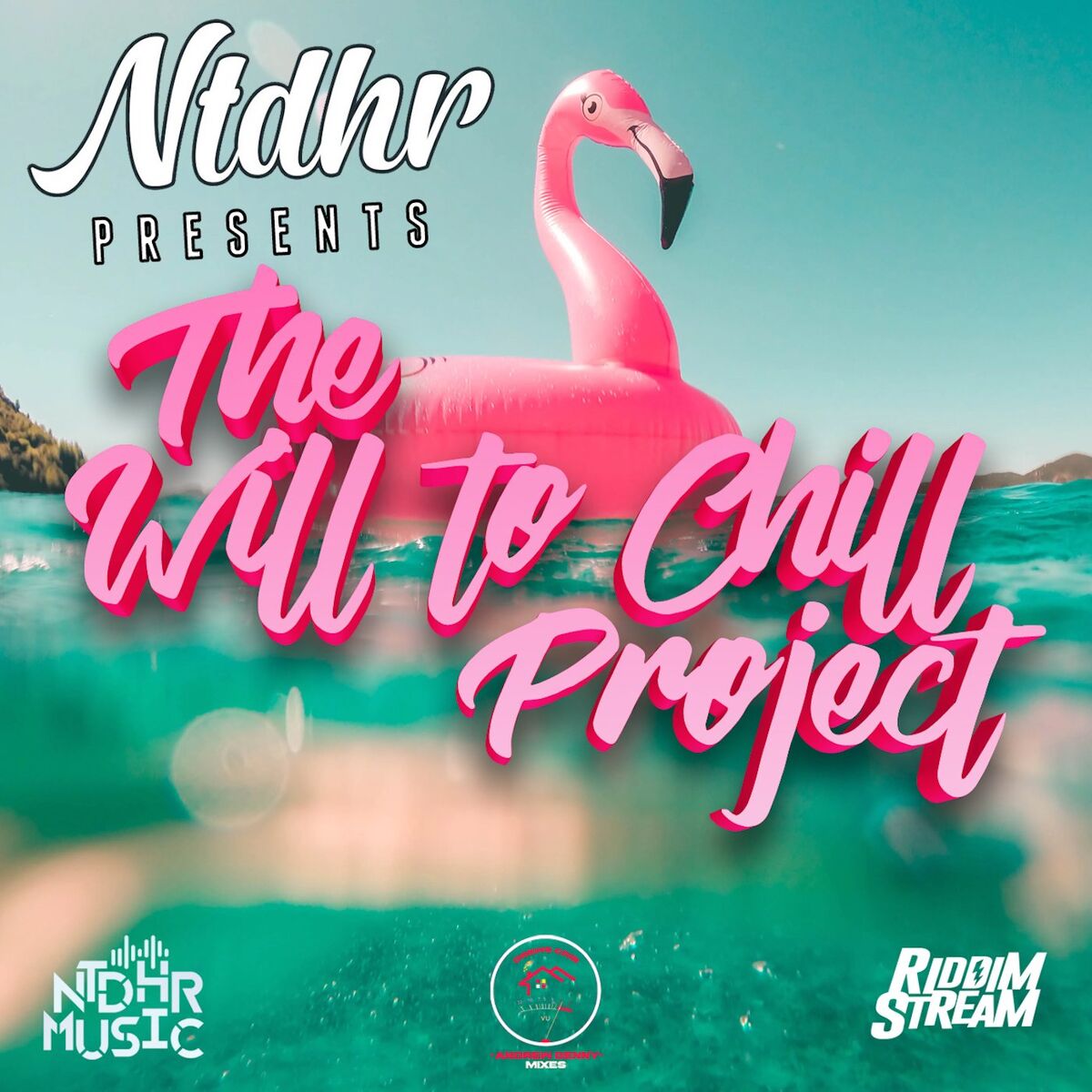Album cover of The Will To Chill Project