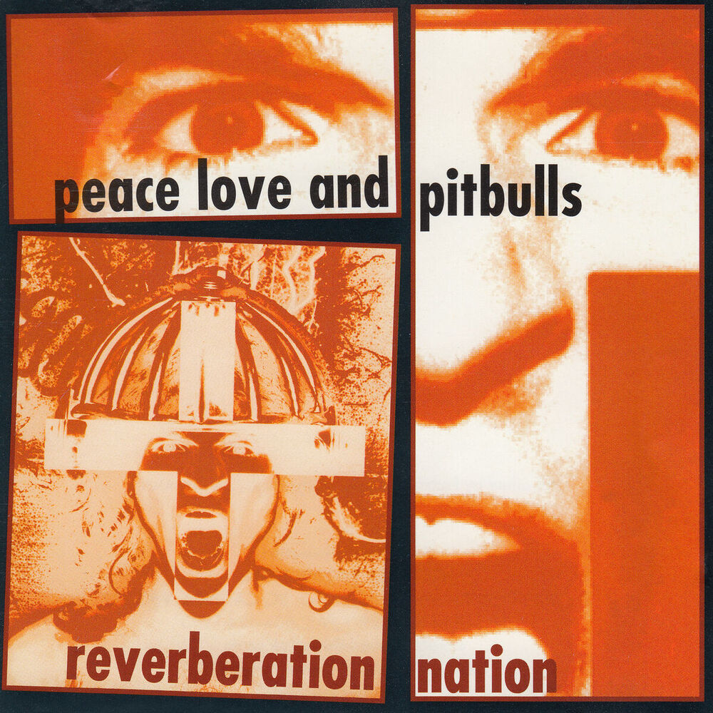 Picture of Reverberation Nation