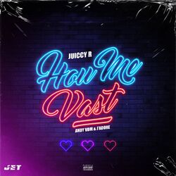 Cover of Hou Me Vast