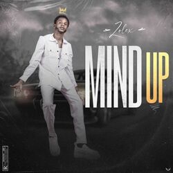Cover of Mind Up