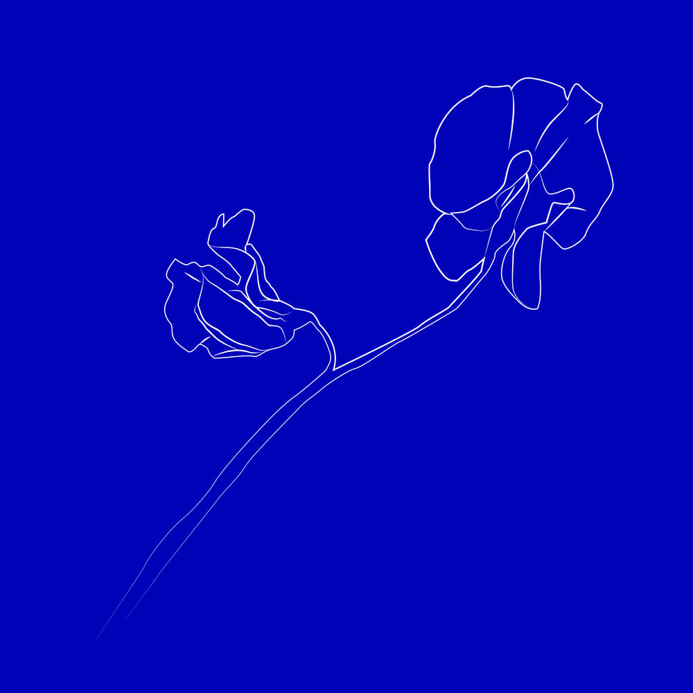 Picture of New Path (The Remixes)