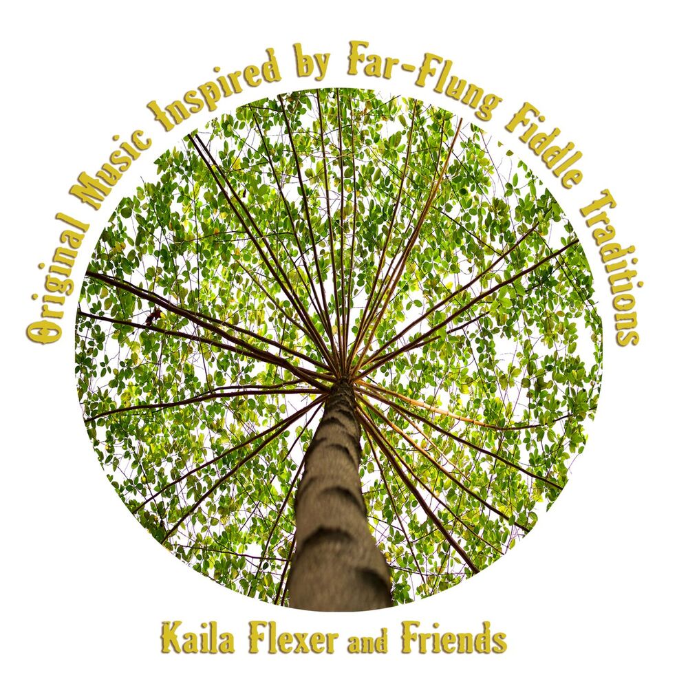 Picture of Kaila Flexer and Friends: Original Music Inspired by Far-Flung Fiddle Traditions