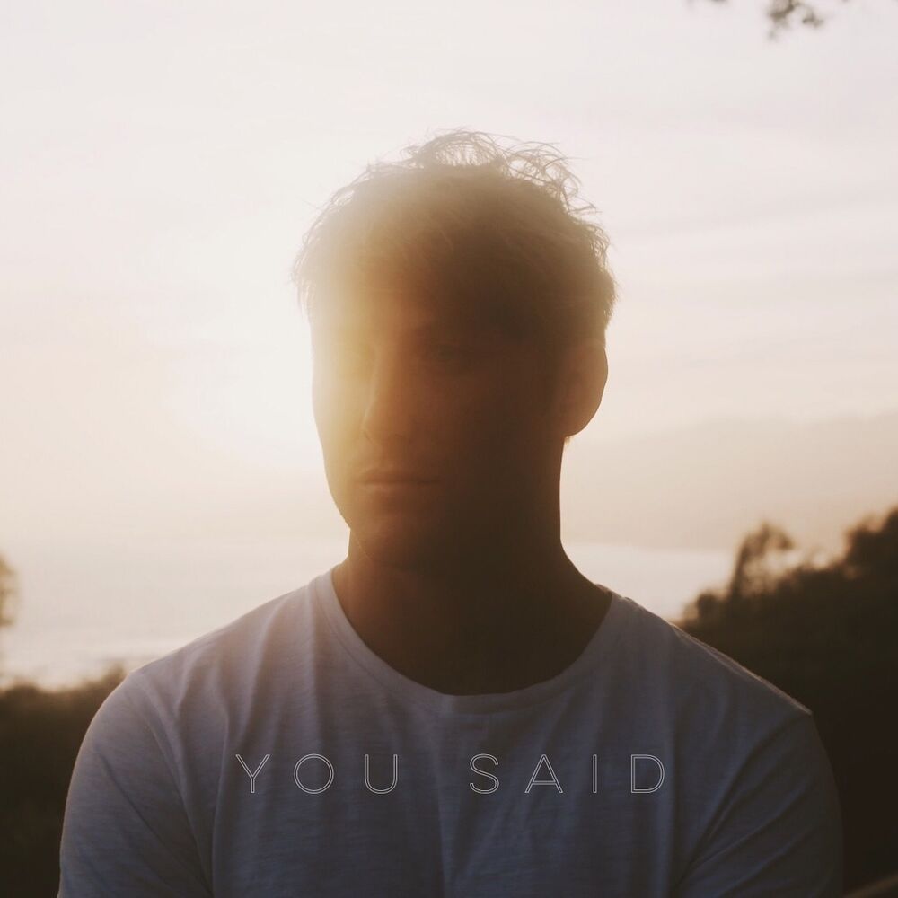 Picture of You Said