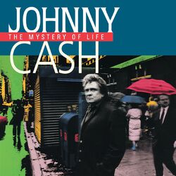 Cover of The Mystery Of Life