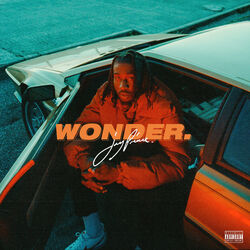 Cover of WONDER