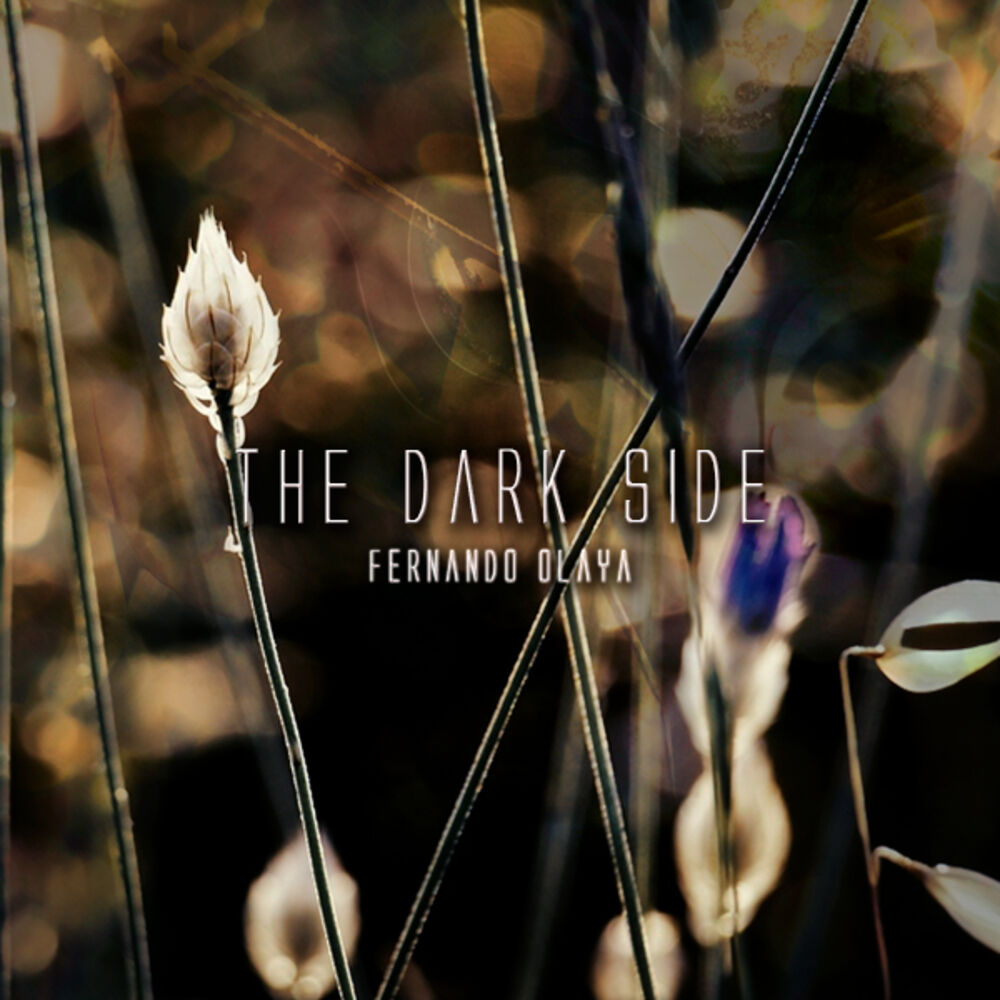 Picture of The Dark Side