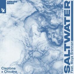 Cover of Saltwater