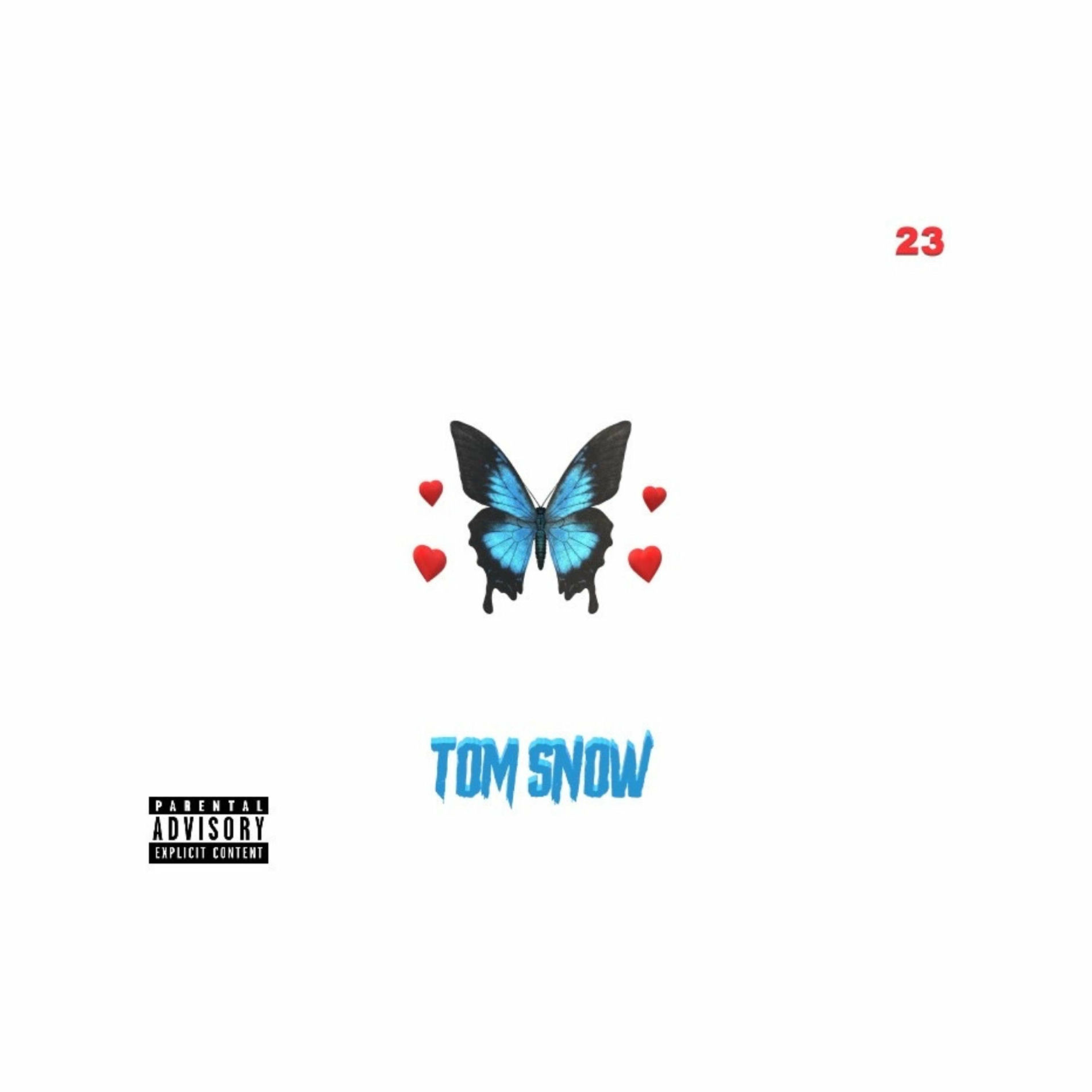 TOM SNOW,新品未開封,AOR,トム・スノウ,WARREN WIEBE TOM SNOW / トム・スノウ商品一覧｜SOUL / BLUES｜ディスク