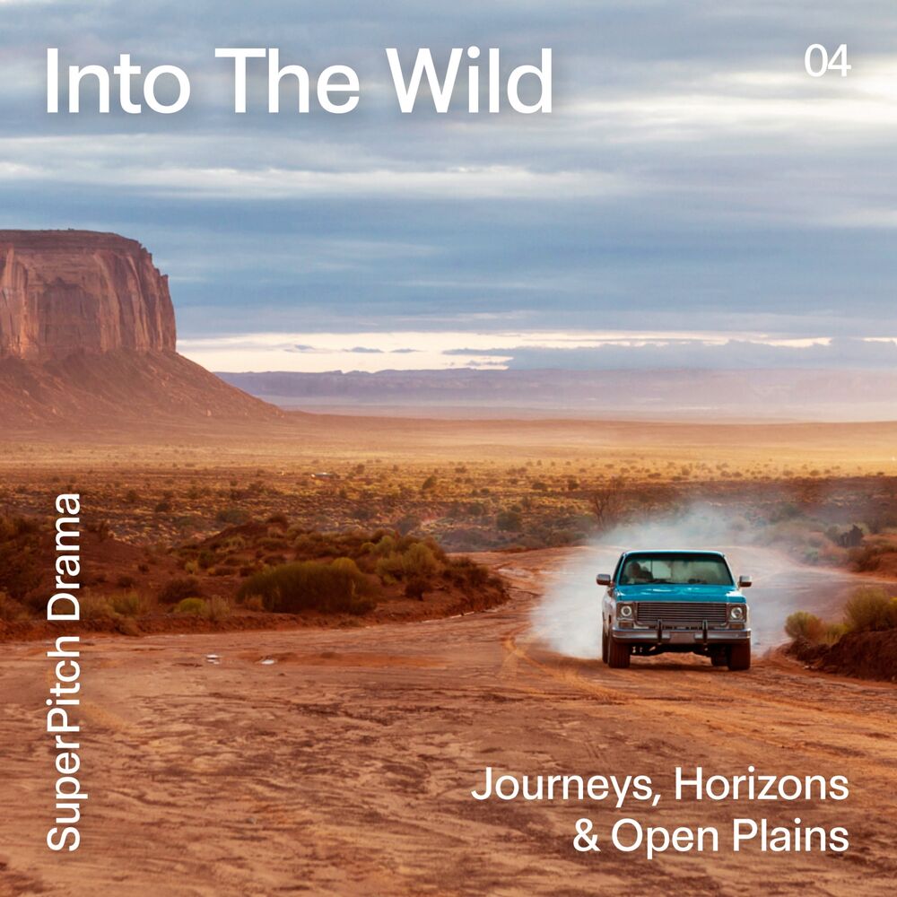 Picture of Into the Wild (Journeys, Horizons & Open Plains)