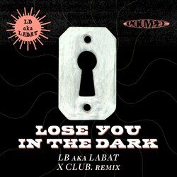 Cover of LOSE YOU IN THE DARK