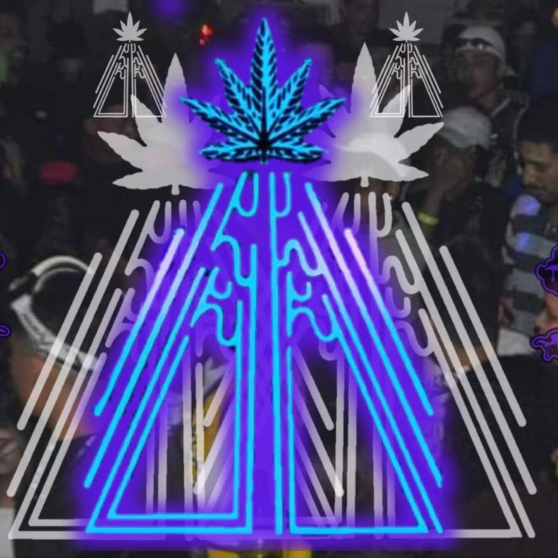 Album cover of Holaria Vibez