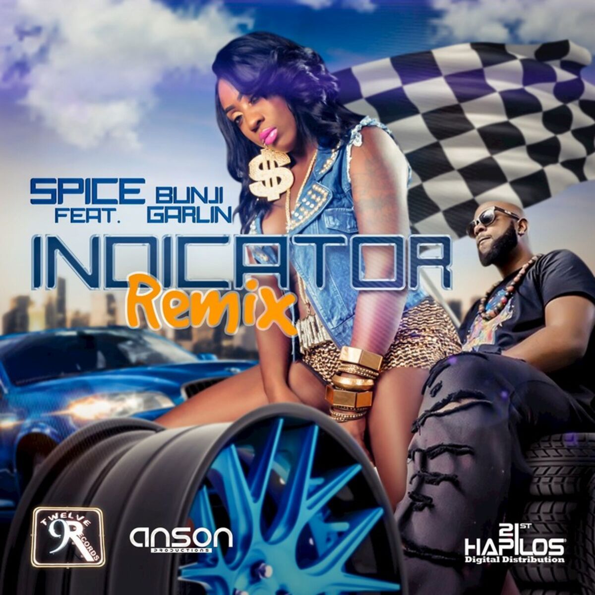 Album cover of Indicator
