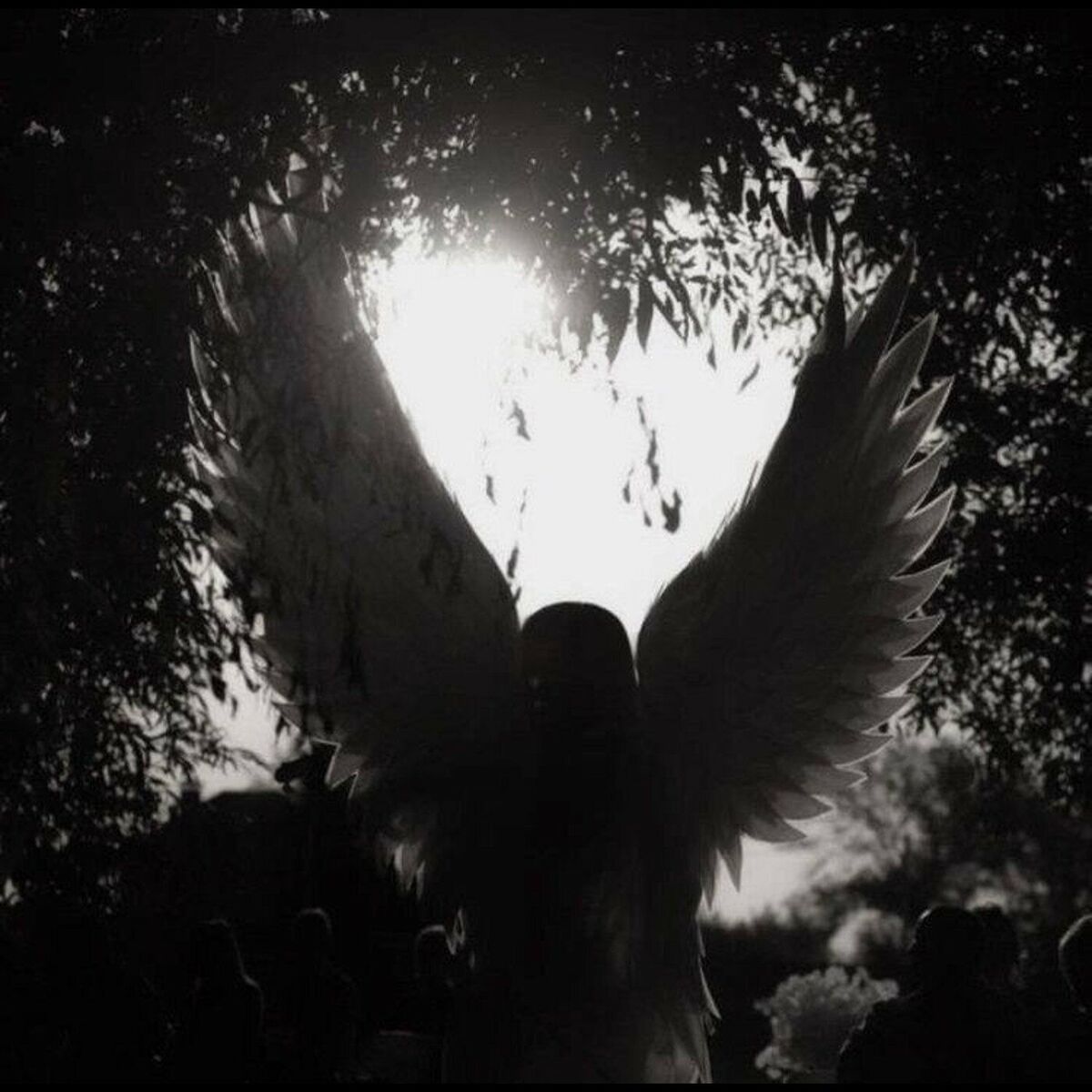 Album cover of Desire
