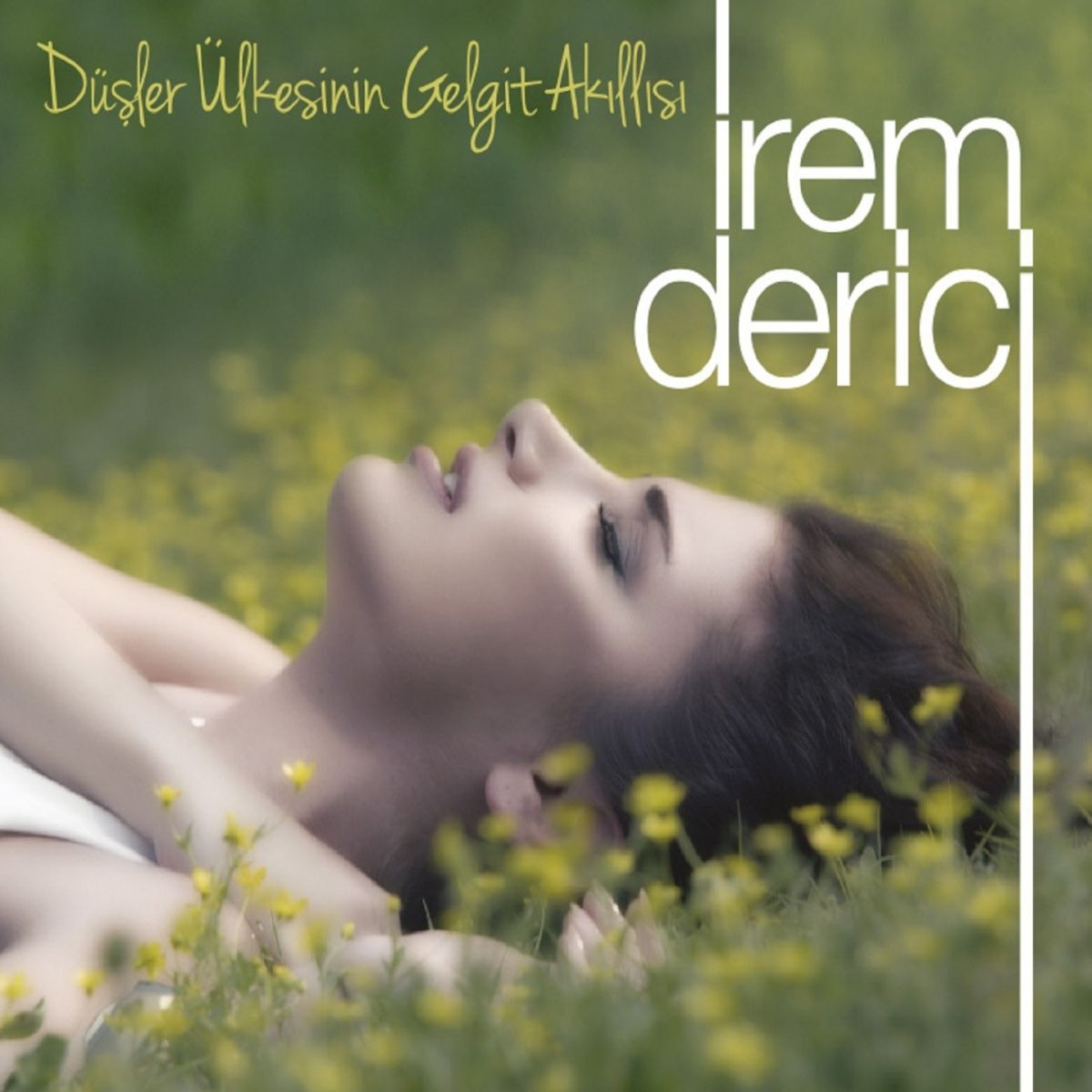Album cover of Düşler Ülkesinin Gelgit Akıllısı