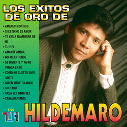 Cover of Los Éxitos De Oro De Hildemaro