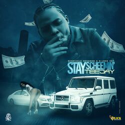 Cover of Stay Scheemin'