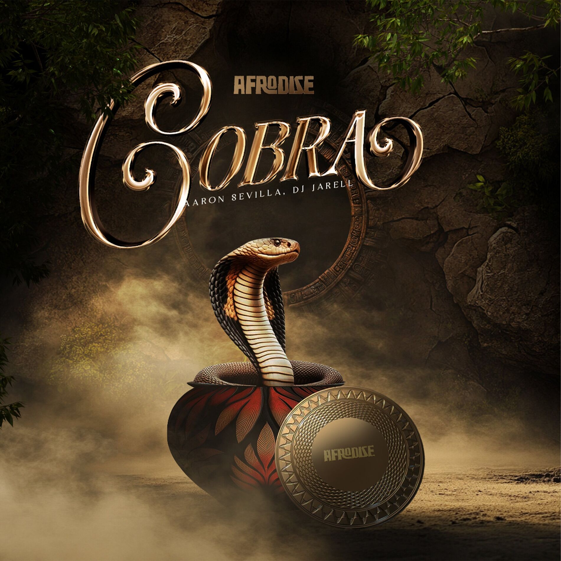 Album cover of Cobra