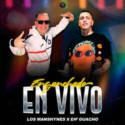Cover of Enganchado (En Vivo)