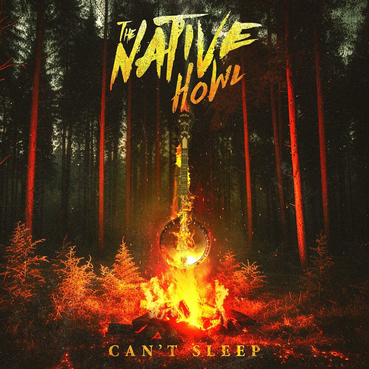 Album cover of Can't Sleep
