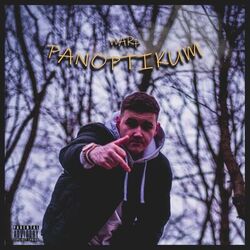 Cover of Panoptikum
