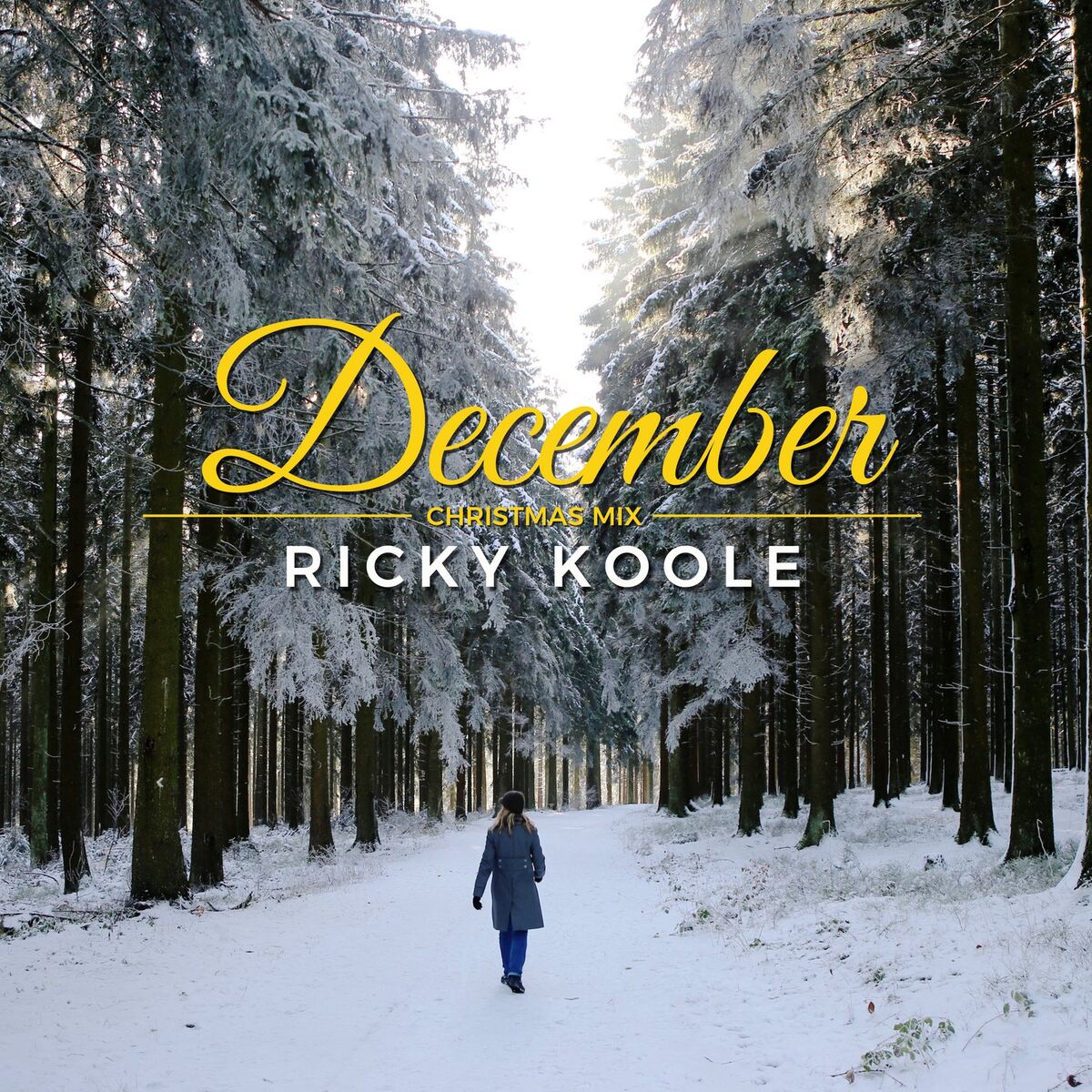 Album cover of December (Christmas Version)