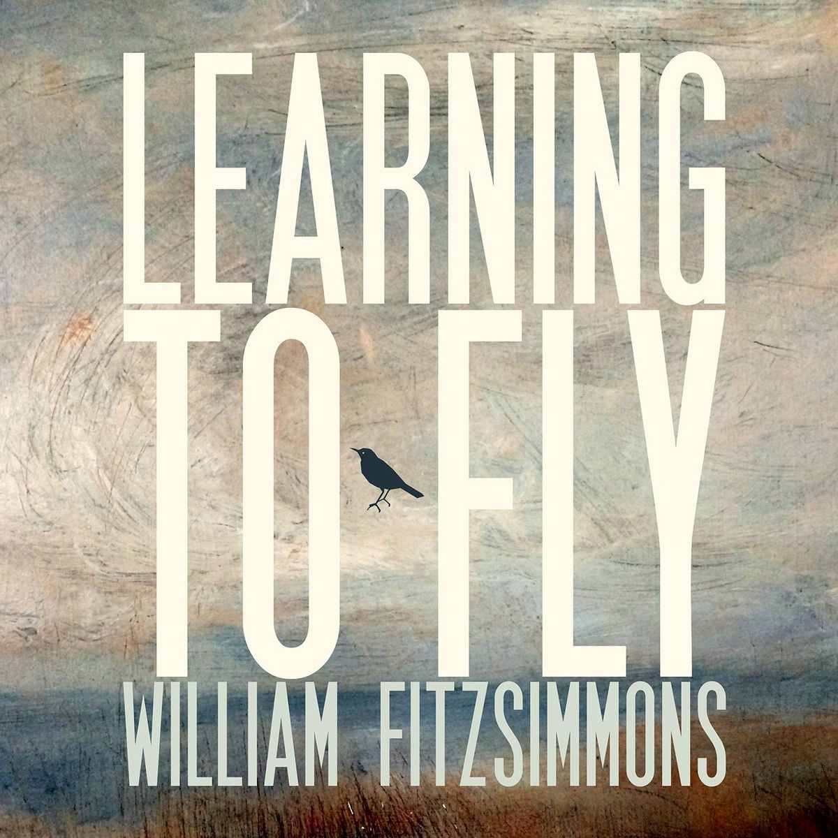 Album cover of Learning to Fly