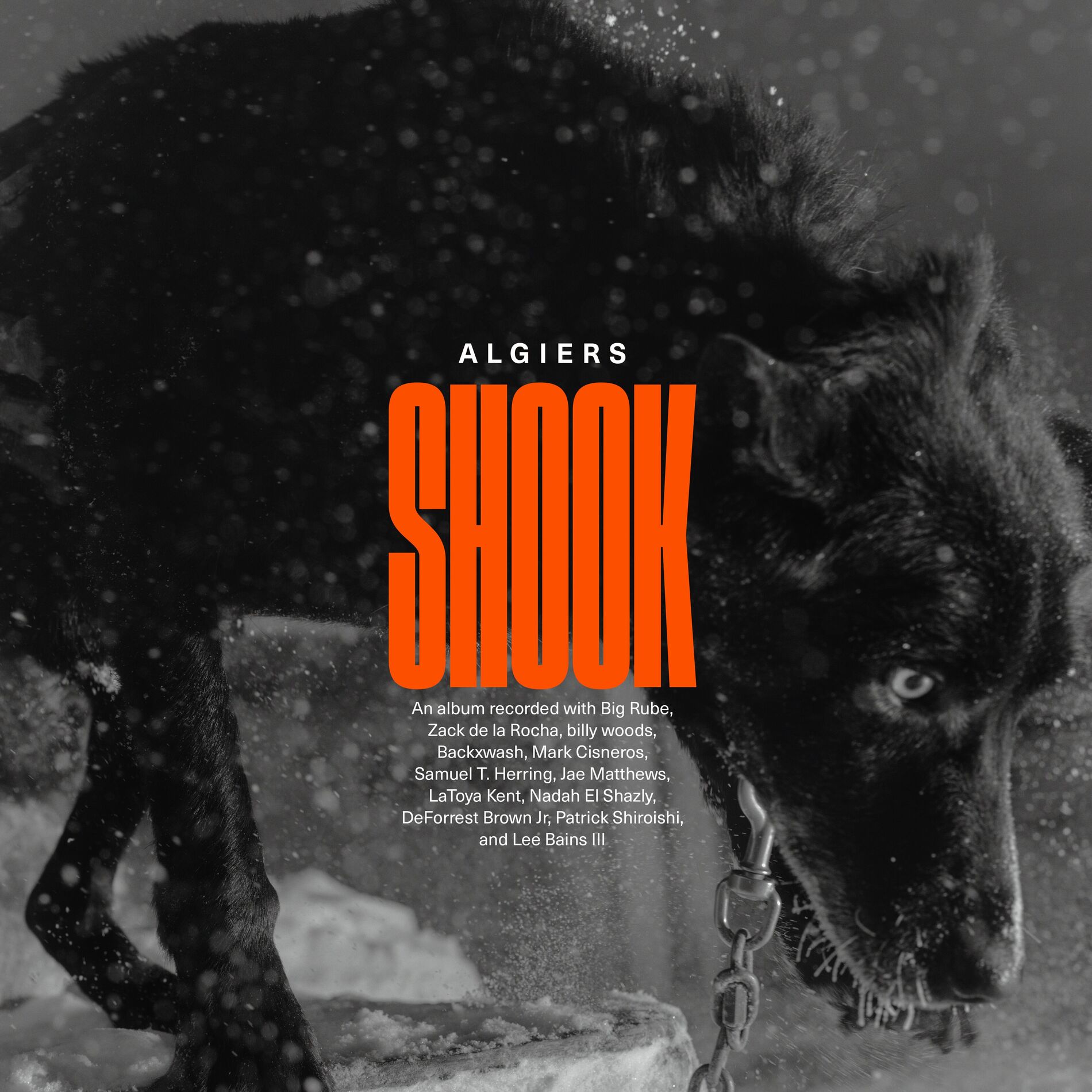 Album cover of Shook (Deluxe Edition)
