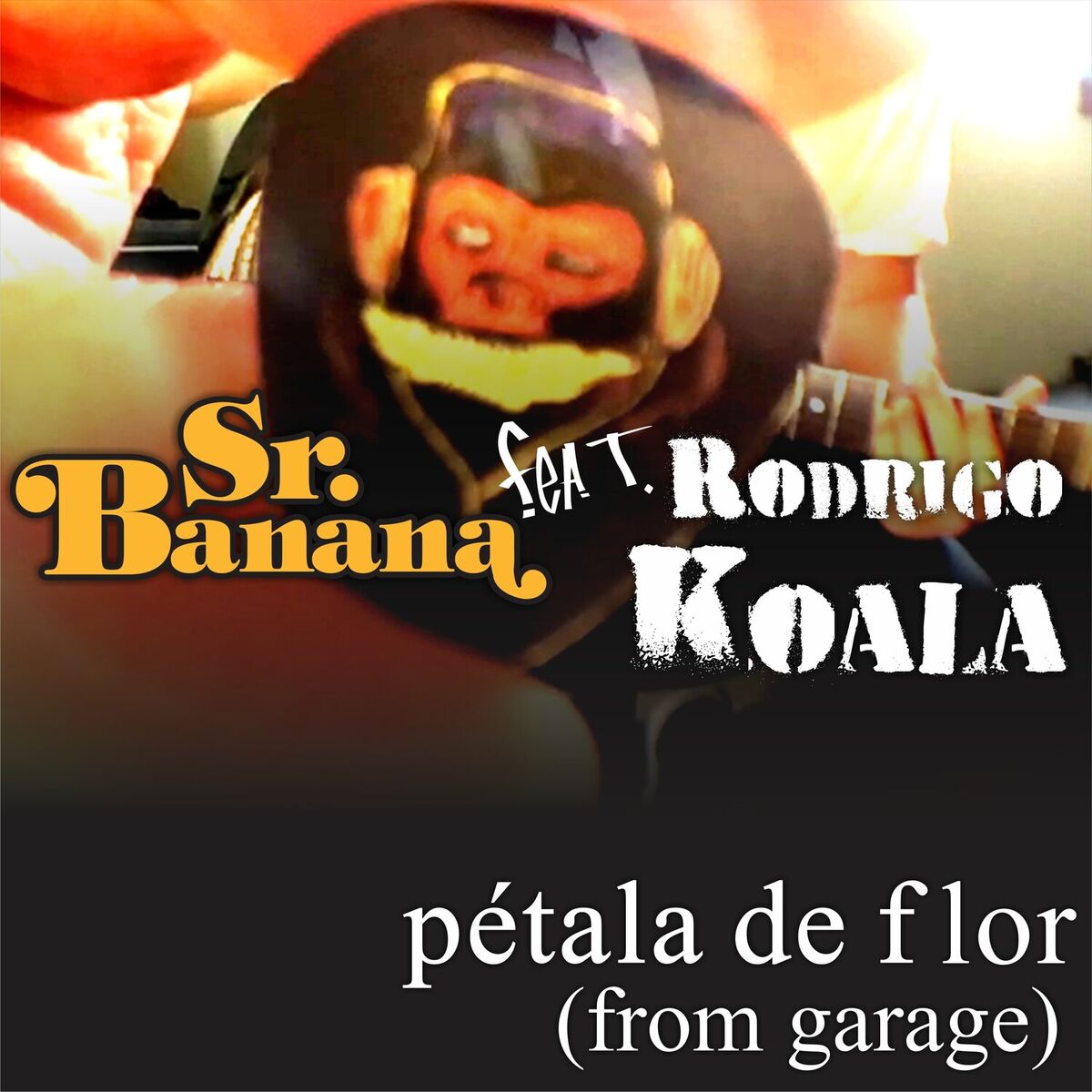 Album cover of Pétala de Flor (From Garage)
