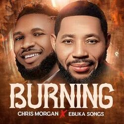 Cover of Burning