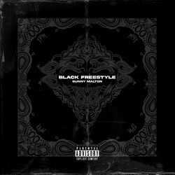 Cover of Black Freestyle