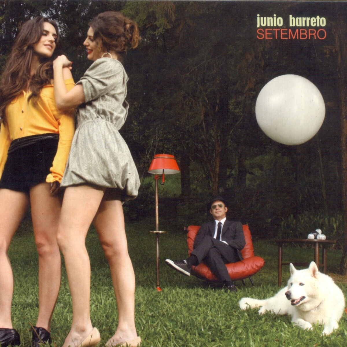 Album cover of Passione