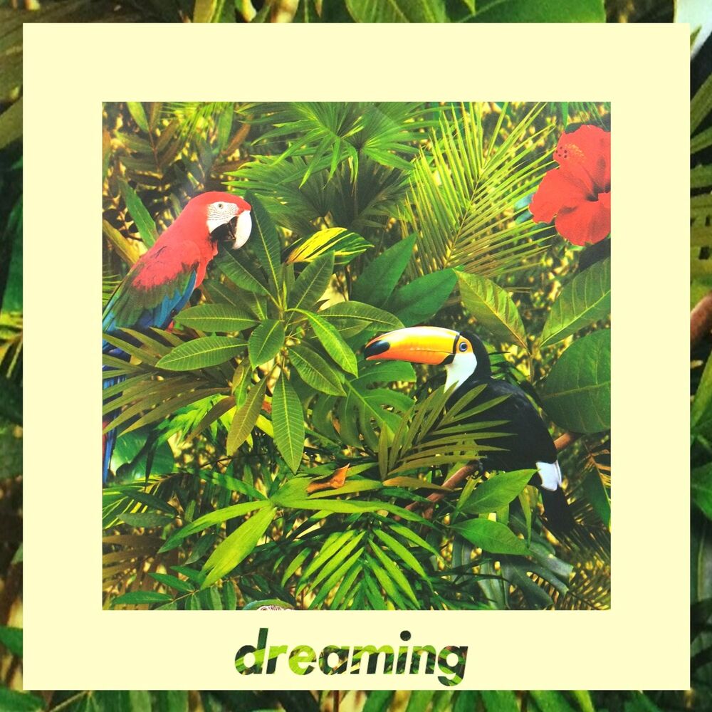 Picture of dreaming