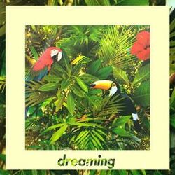 Cover of dreaming