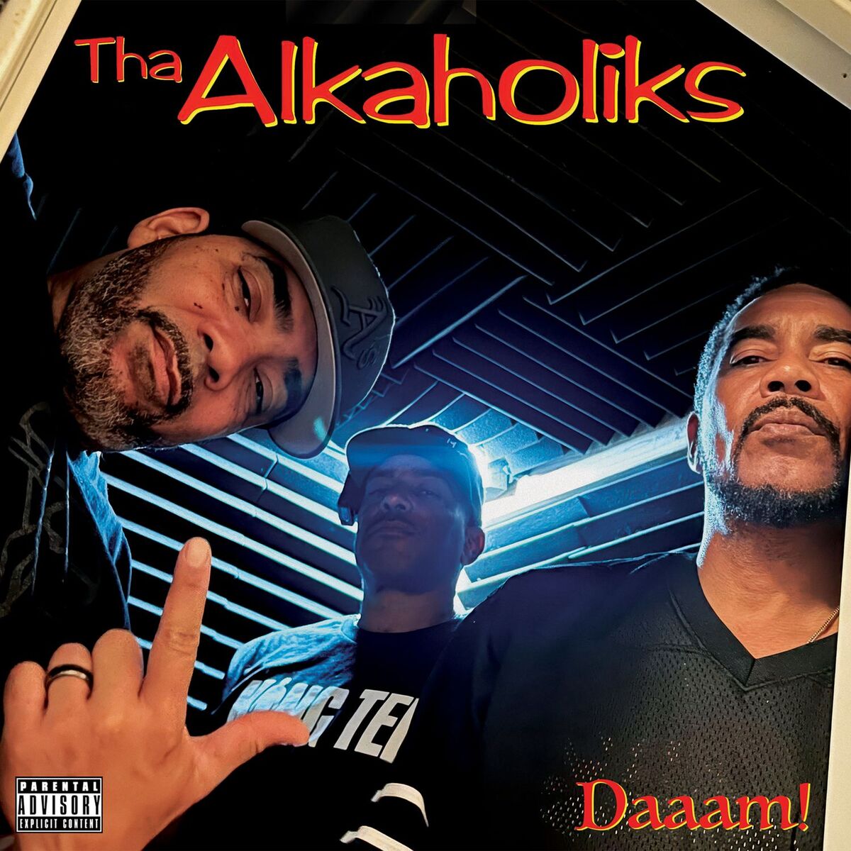 Album cover of Daaam!