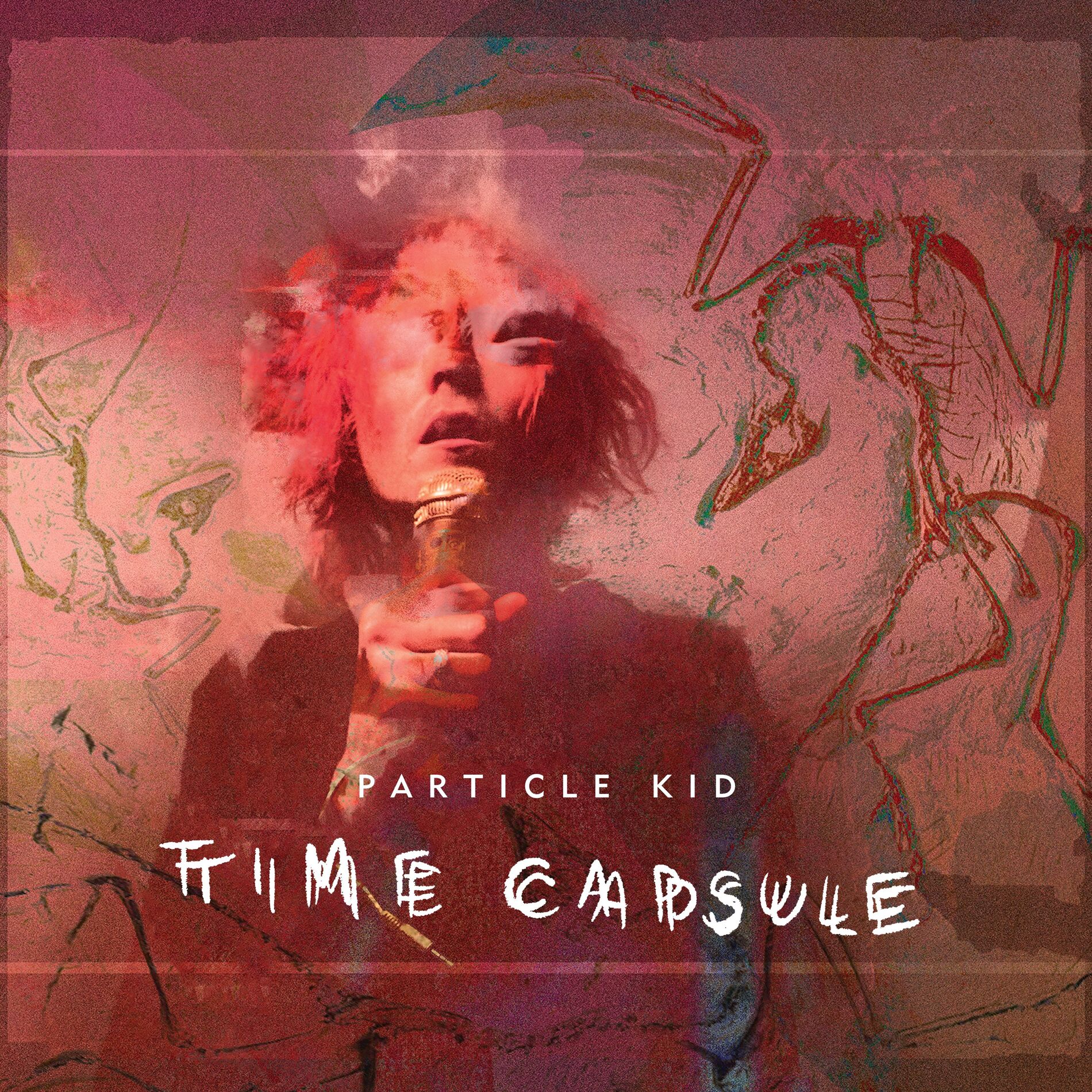 Album cover of Time Capsule