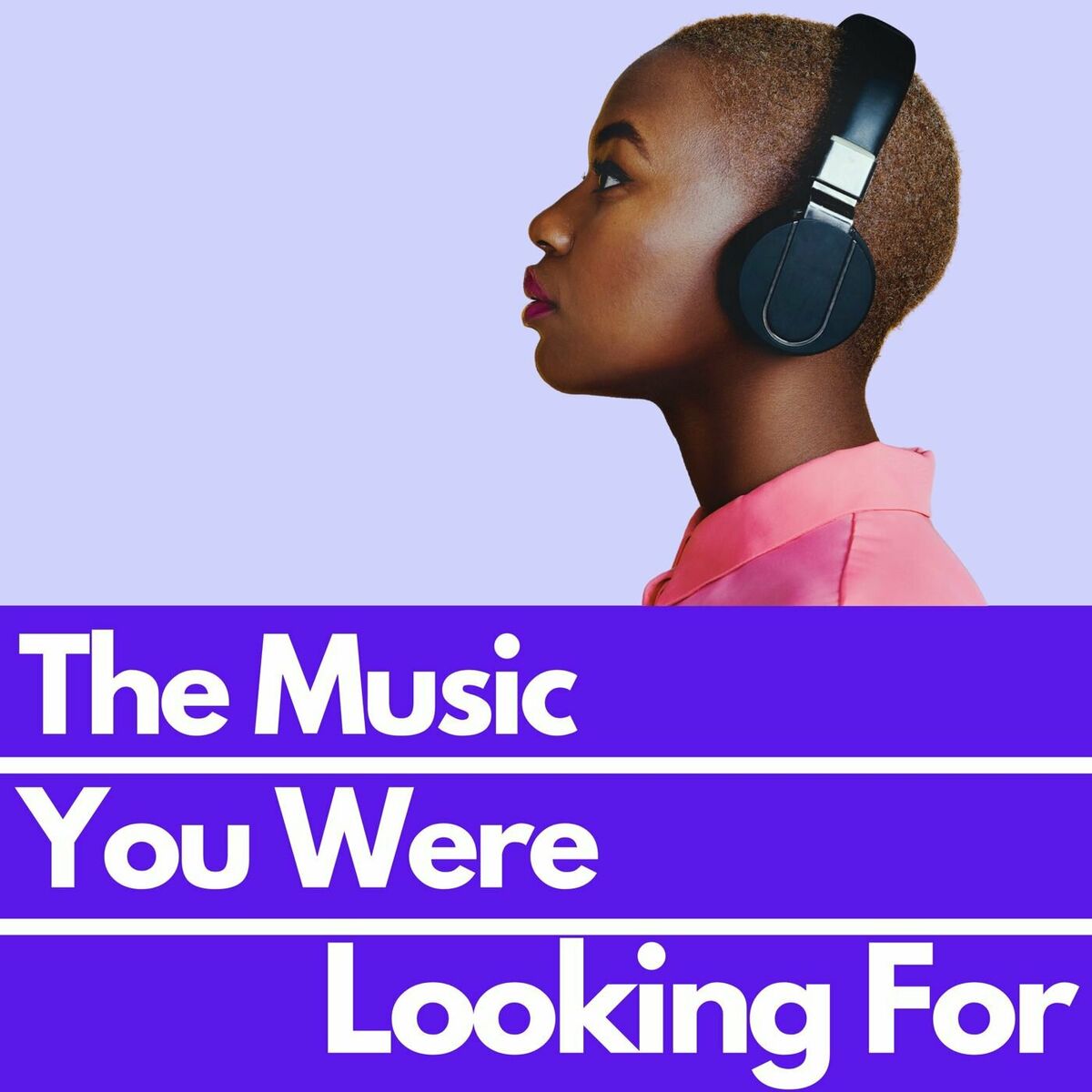 Album cover of The Music You Were Looking For