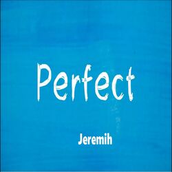 Cover of Perfect